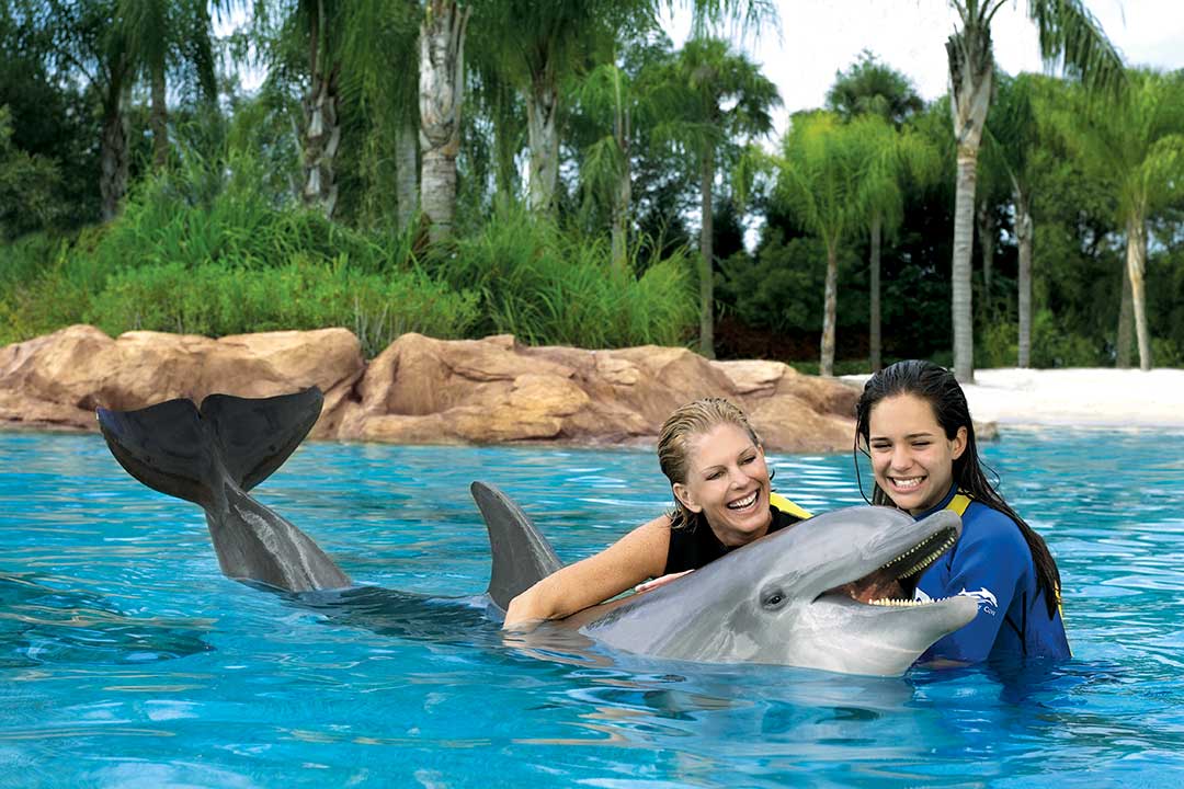 Florida, Orlando, Discovery Cove, Boka biljett till delfinsim, Swim with dolphins