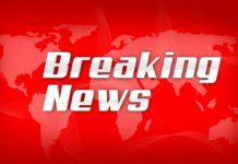 Nyheter Florida – snabbast via Facebook-sidan Nyheter Florida, noticias de Florida, Florida Nachrichten, Florida news