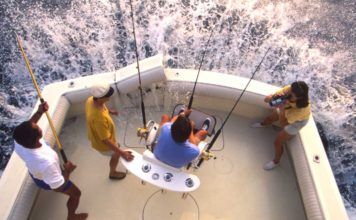 Fiska i Florida – boka här så nappar det säkert! Fiska i Florida