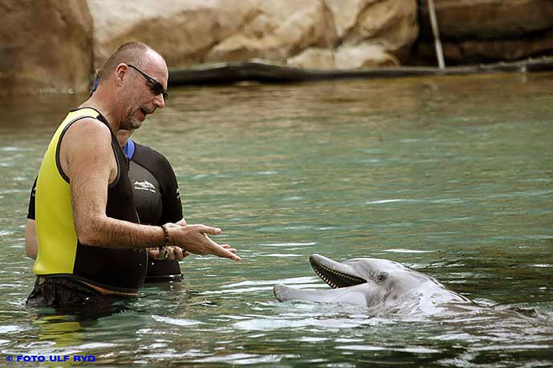 Simma med delfiner Florida. Boka biljett till delfinsim, All-inclusive family adventure