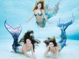 Weeki Wachee Springs – mest klassiska Florida-nöjet Weeki Wachee Springs, Florida.