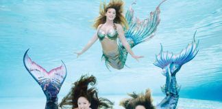 Weeki Wachee Springs – mest klassiska Florida-nöjet Weeki Wachee Springs, Florida.