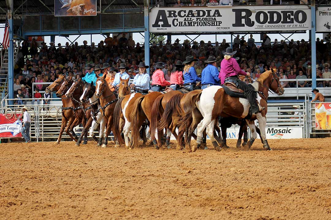 Arcadia, Florida. rodeo