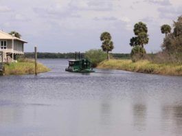 Myakka River State Park – genuin Florida-natur Myakka River State Park, Sarasota