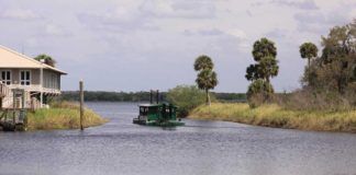 Myakka River State Park – genuin Florida-natur Myakka River State Park, Sarasota
