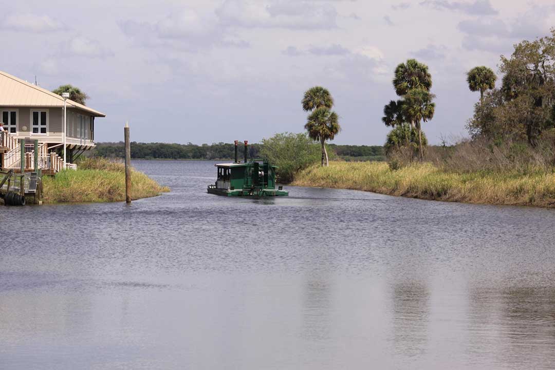 Myakka River State Park, Sarasota