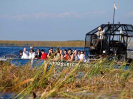 Airboats – den snabbaste genvägen till Everglades Airboats Everglades, everglades efter irma