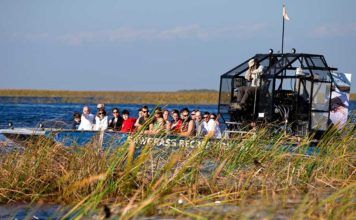 Airboats – den snabbaste genvägen till Everglades Airboats Everglades, everglades efter irma