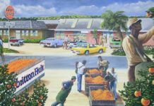 Plocka apelsiner – exotiskt nöje för hela familjen plocka apelsiner florida