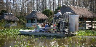 Utflykt: Ah-Tah-Thi-Ki och Billie Swamp Safari Ah-Tah-Thi-Ki och Billie Swamp Safari