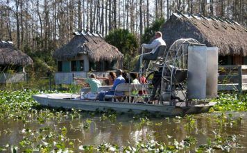 Utflykt: Ah-Tah-Thi-Ki och Billie Swamp Safari Ah-Tah-Thi-Ki och Billie Swamp Safari