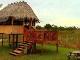 Boka hotell i Everglades – i både öster och väster Boka hotell i Everglades