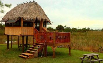 Boka hotell i Everglades – i både öster och väster Boka hotell i Everglades