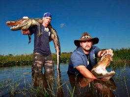 Everglades Holiday Park – genvägen till alligatorerna Alligatorer, Everglades Holiday Park, Fort Lauderdale.