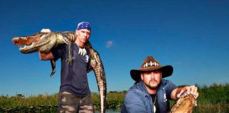 Everglades Holiday Park – genvägen till alligatorerna Alligatorer, Everglades Holiday Park, Fort Lauderdale.