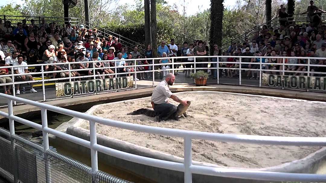 Gatorland, Orlando