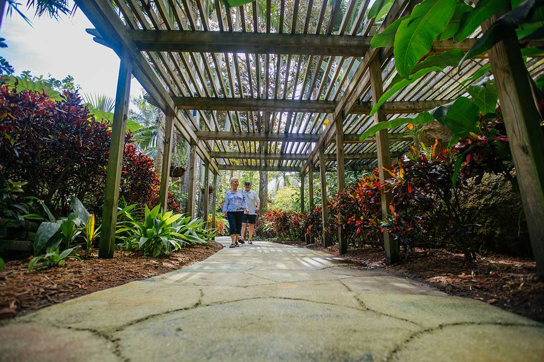 Sunken Gardens, St Petersburg, Florida