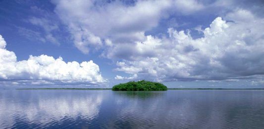 Ten Thousand Islands – äkta “Old Florida” vildmark Ten Thousand Islands, Florida.