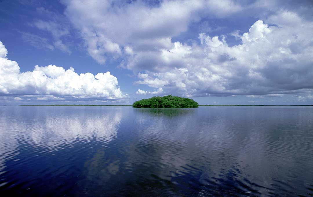 Ten Thousand Islands, Florida.