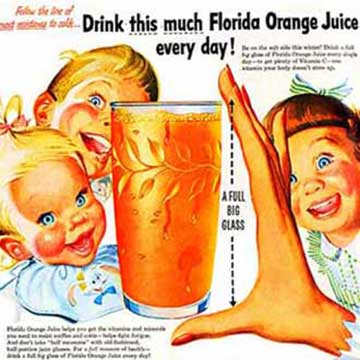 Fakta Florida, Fakten über Florida, Hechos sobre Florida, Florida facts
