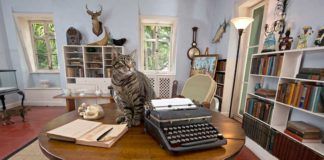 Hemingways Key West – här skrevs berömda böcker Hemingways Key West