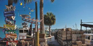 Sarasota: Bra fiskrestauranger i utomhusmiljö Sarasota: Bra fiskrestauranger