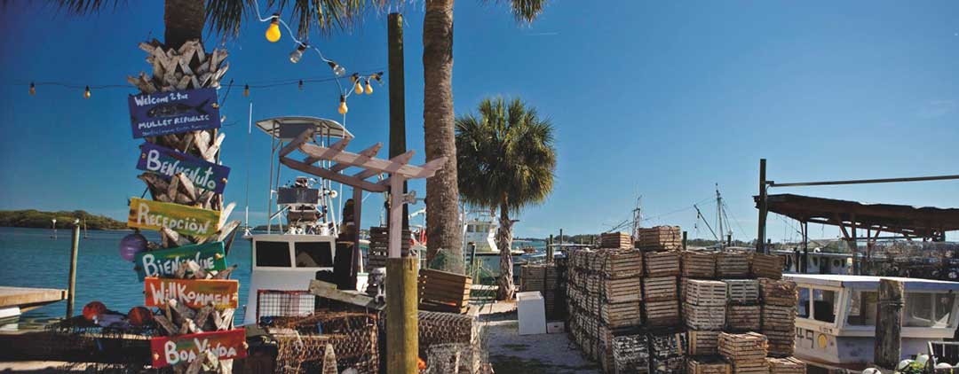 Sarasota: Bra fiskrestauranger