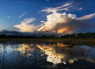 Everglades, Everglades-området