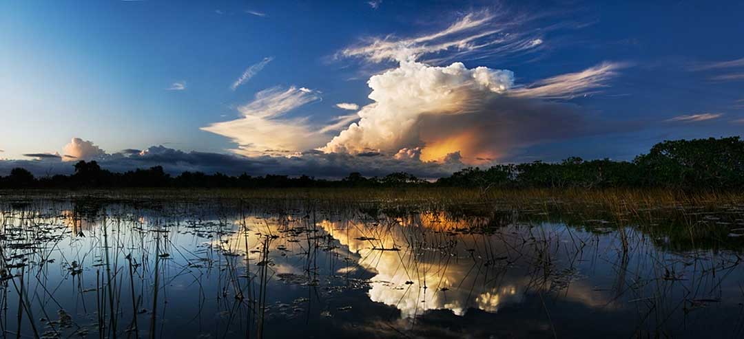 Everglades, Everglades-området