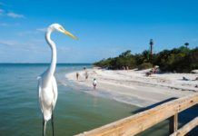 Fort Myers är vatten och öar, folkliv, öde stränder Fort Myers är vatten och öar, Sanibel