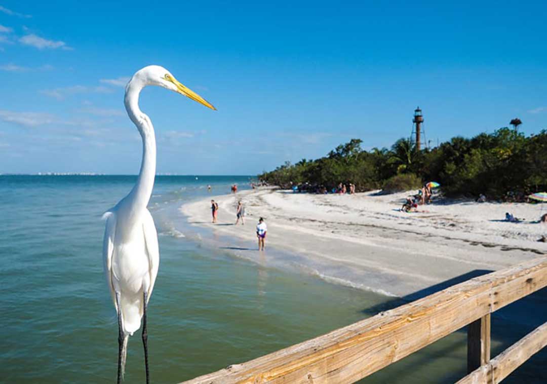 Fort Myers är vatten och öar, Sanibel