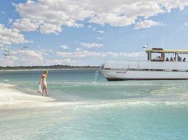 Florida stränder sydväst – folkliv eller helt öde Florida stränder sydväst