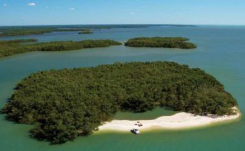 Everglades stränder: Vackert i väster och öde i söder Everglades stränder