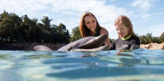 Delfinsim på Discovery Cove – tropiskt vattenäventyr Discovery Cove, all-inclusive family adventure