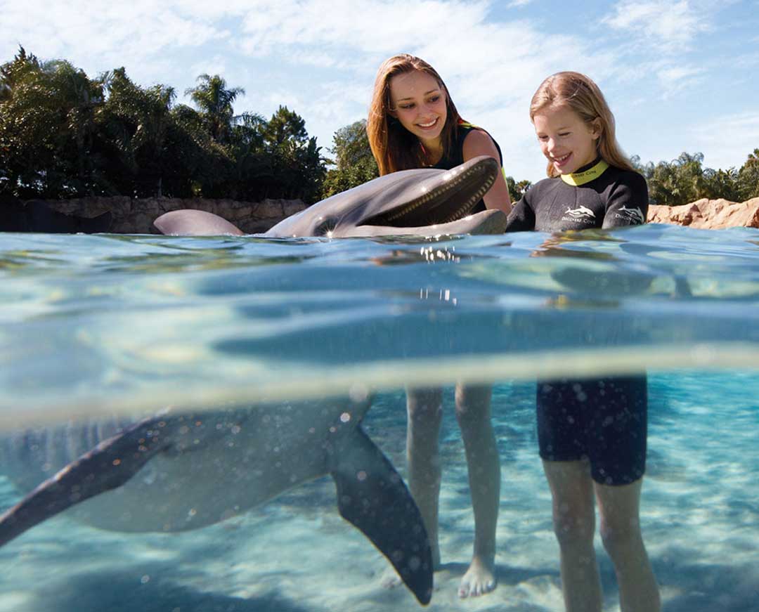 Discovery Cove, all-inclusive family adventure