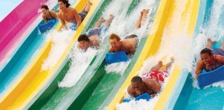 Aquatica – närkontakt med delfiner i vattenpark Aquatica