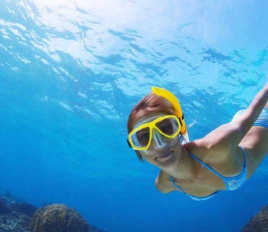 Key West aktiviteter – rundturer och vattenäventyr Key West aktiviteter, Actividades en Cayo Hueso