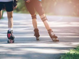 Boka rundtur i Florida – hitta aktivitet som passar dig Boka rundtur i Florida, Book a tour or activity