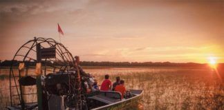 Boggy Creek Airboat Rides – i vild natur nära Orlando Boggy Creek Airboat Rides