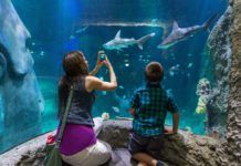 Orlando aktiviteter – boka ditt favoritäventyr här! orlando aktiviteter, Places to have fun in Orlando