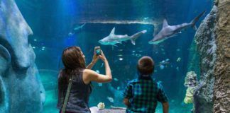 Orlando aktiviteter – boka ditt favoritäventyr här! orlando aktiviteter, Places to have fun in Orlando