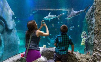 Orlando aktiviteter – boka ditt favoritäventyr här! orlando aktiviteter, Places to have fun in Orlando