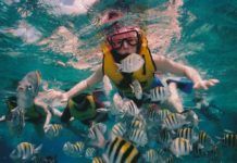 Snorkling i Florida – hitta bästa platserna här snorkling i florida, Snorkeling and diving in Florida, Schnorcheln und Tauchen in Florida