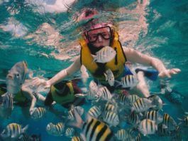 Snorkling i Florida – hitta bästa platserna här snorkling i florida, Snorkeling and diving in Florida, Schnorcheln und Tauchen in Florida