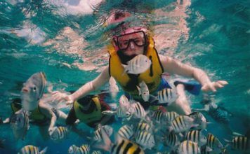 snorkling i florida, Snorkeling and diving in Florida, Schnorcheln und Tauchen in Florida