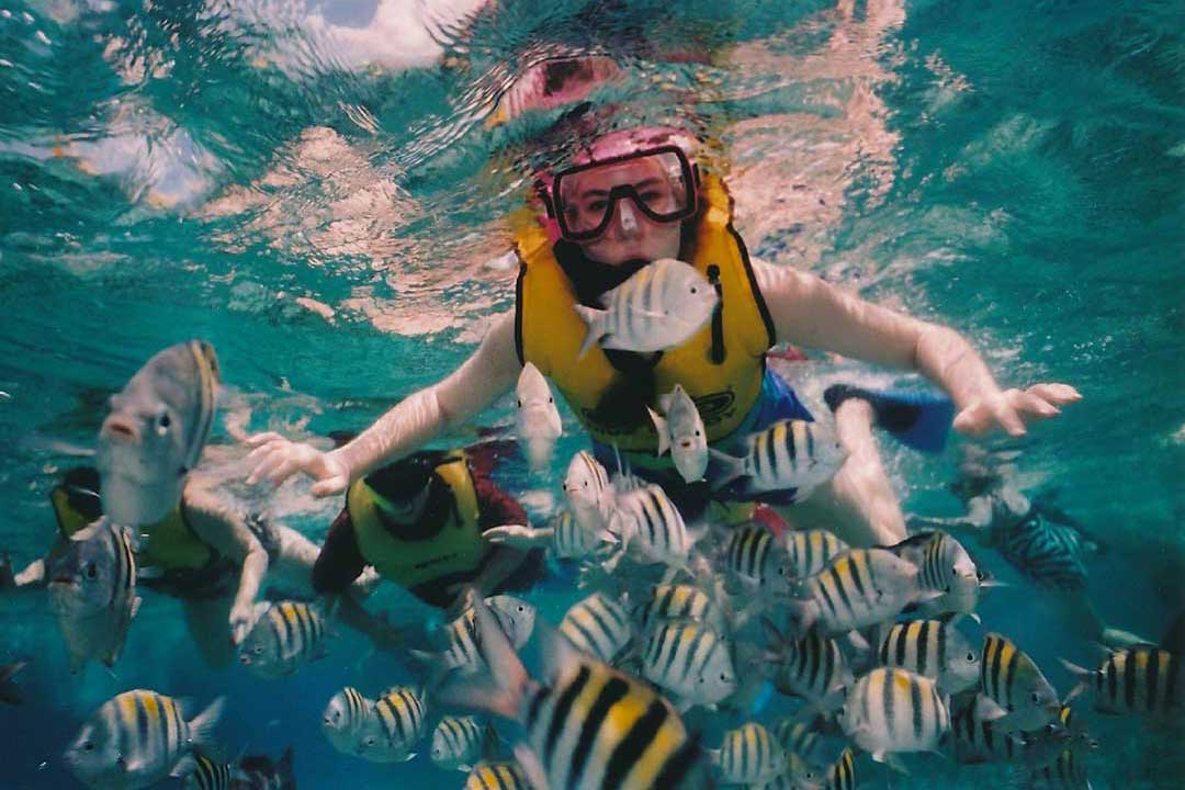snorkling i florida, Snorkeling and diving in Florida, Schnorcheln und Tauchen in Florida