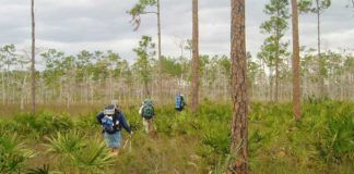 Vandra i Florida – hitta till leden som passar dig vandra i Florida