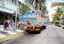 Miami aktiviteter: Nattliv, båtresa, utflykt, sport Miamis most exciting activities