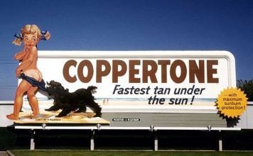 Fakta Florida – för dig som vill veta lite mer Fakta Florida, Fakten über Florida, Hechos sobre Florida, Florida facts