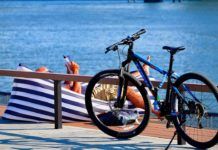 Floridas bästa böcker – författare som är favoriter Floridas bästa böcker